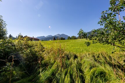 G_G_9128-HDR 82b0f7b1-0c1a-4c8f-8f18-a5b407b85084.jpg