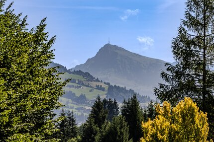 04c21d2e-bc4f-4272-ba4b-da315c96b4b0.jpg