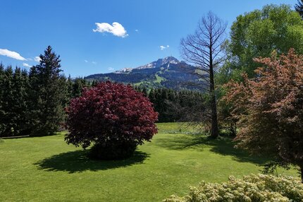3-DJI_20260513134622_0949_D 2917cd3d-2fb9-4bb2-a39a-6f676d0e03b4.jpg