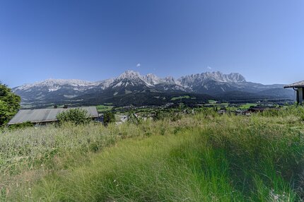 2b368175-18a8-4ef0-bd4d-7c0e80df96a5.jpg