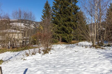 0K0A7279-HDR aff55797-94c0-4673-b0e8-5328c5090f66.jpg
